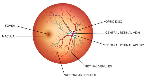 Retina Disorders Portland